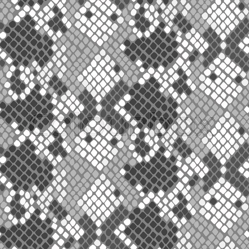800x800 Snake Skin Seamless Vector Texture. Gray And White Tone Colors