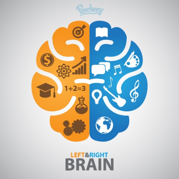 600x600 Left And Right Side Of The Brain Free Vector In Adobe Illustrator