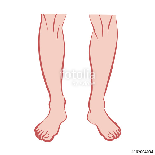 Leg Vector at GetDrawings | Free download