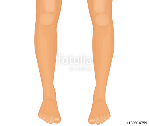 Leg Vector at GetDrawings | Free download