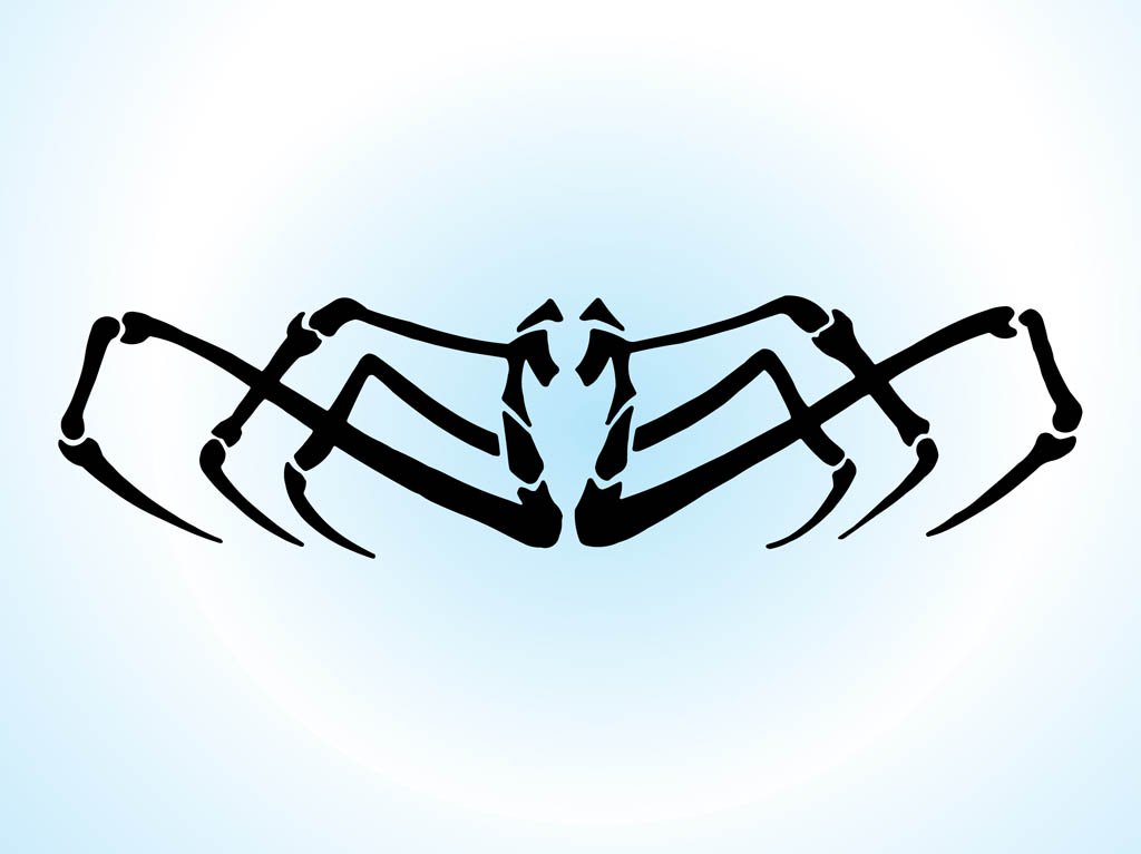 1024x767 Spider Legs Vector Art Amp Graphics
