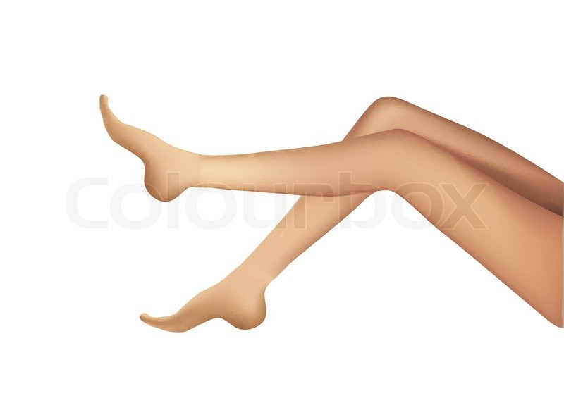 800x572 Woman Realistic Legs Stock Vector Colourbox