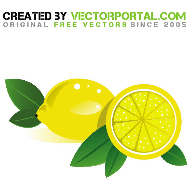 660x660 Lemon Vector Graphics