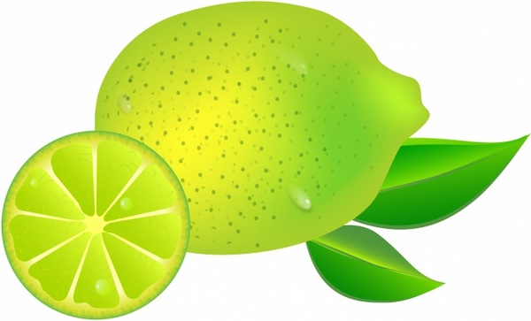 600x363 Lemon Free Vector In Adobe Illustrator Ai ( .ai ), Encapsulated