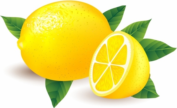 600x366 Lemon Vector Free Free Vector Download (391 Free Vector) For
