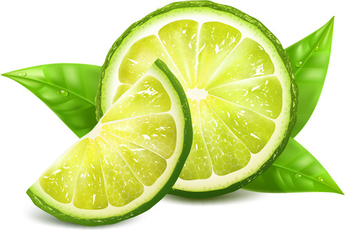 500x333 Lemon Vector Graphics Free Vector In Adobe Illustrator Ai ( .ai