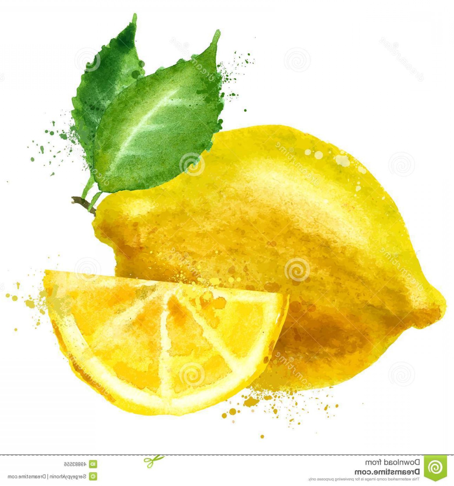 1560x1668 Stock Illustration Lemon Vector Logo Design Template Fruit Food