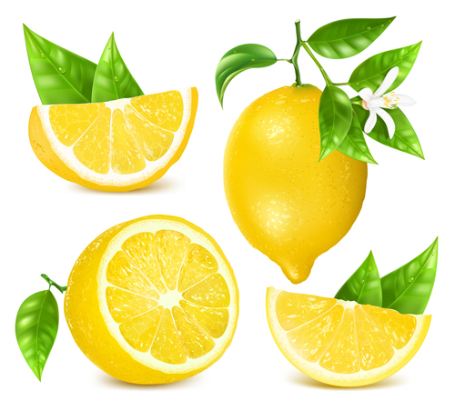 500x452 Yellow Lemon Vector Material Free Download