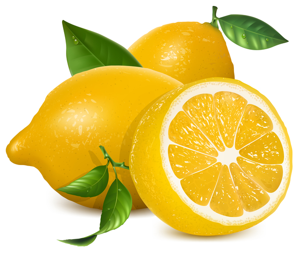 600x513 Fresh Lemon Vector Illustration 03 Free Download