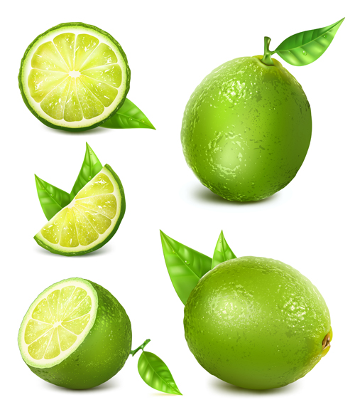 500x579 Green Lemon Vector Material Free Download