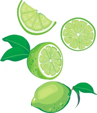 316x368 Green Lemon Free Vector Download (7,118 Free Vector) For