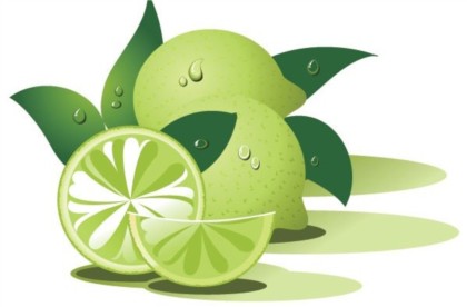 420x276 Green Lemon Vector Eps Format Free Vector Download