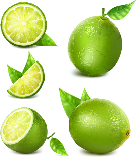 463x536 Green Lemon Vector Free Vector In Encapsulated Postscript Eps