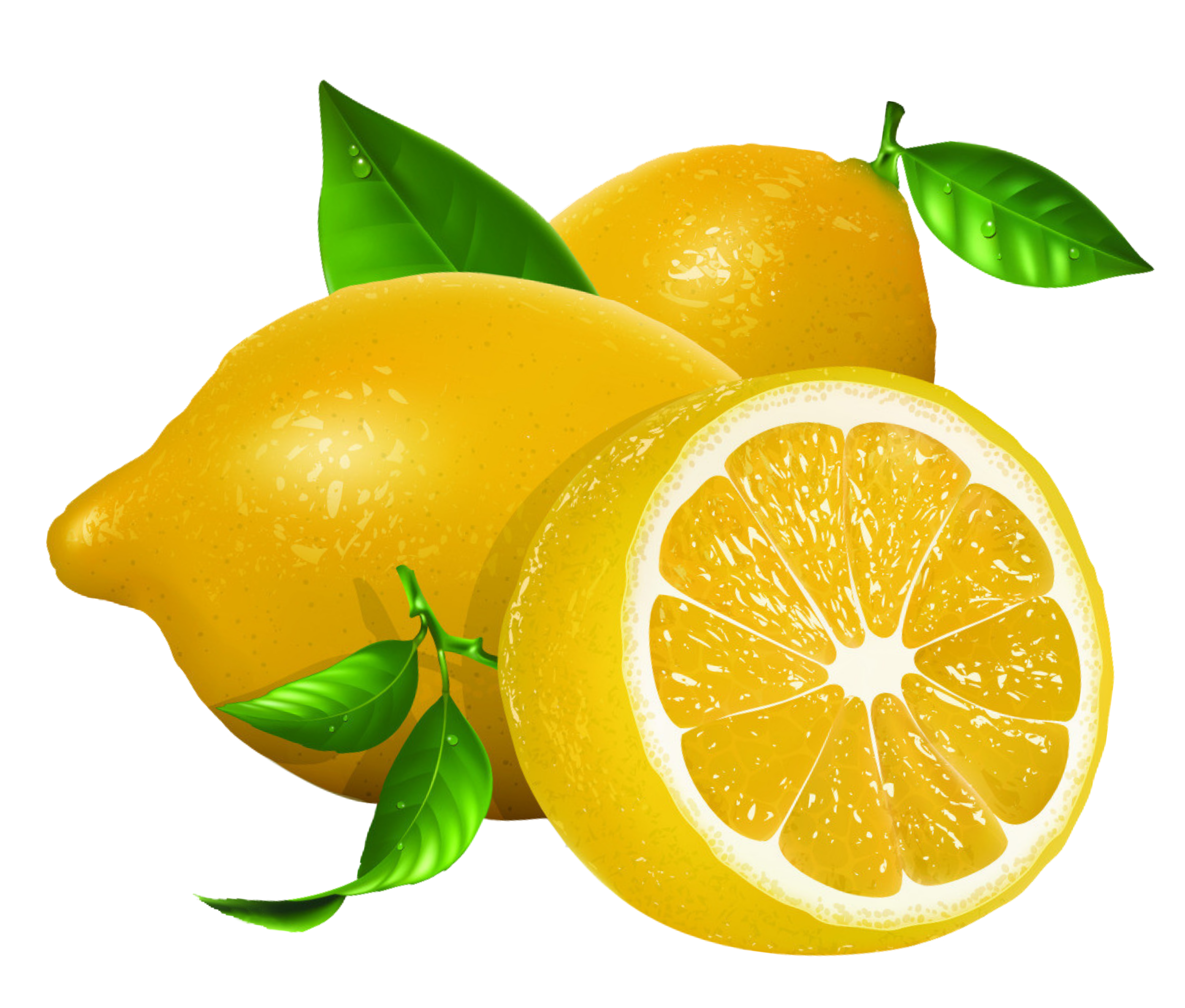3992x3397 Lemon Euclidean Vector Clip Art