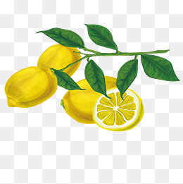 260x261 Lemon Tree Png Images Vectors And Psd Files Free Download On