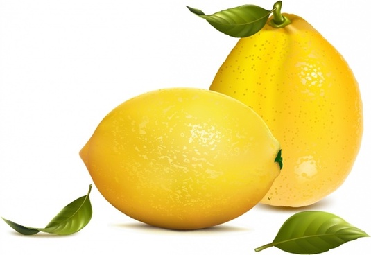 535x368 Lemon Vector Free Free Vector Download (391 Free Vector) For