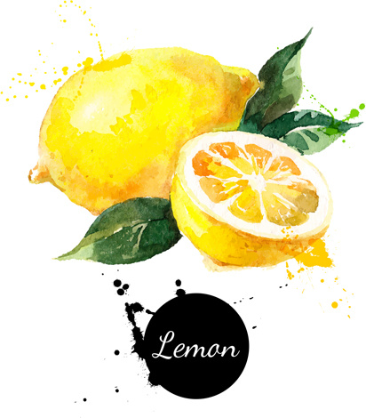 412x470 Lemon Watercolor Vector Free Vector In Encapsulated Postscript Eps