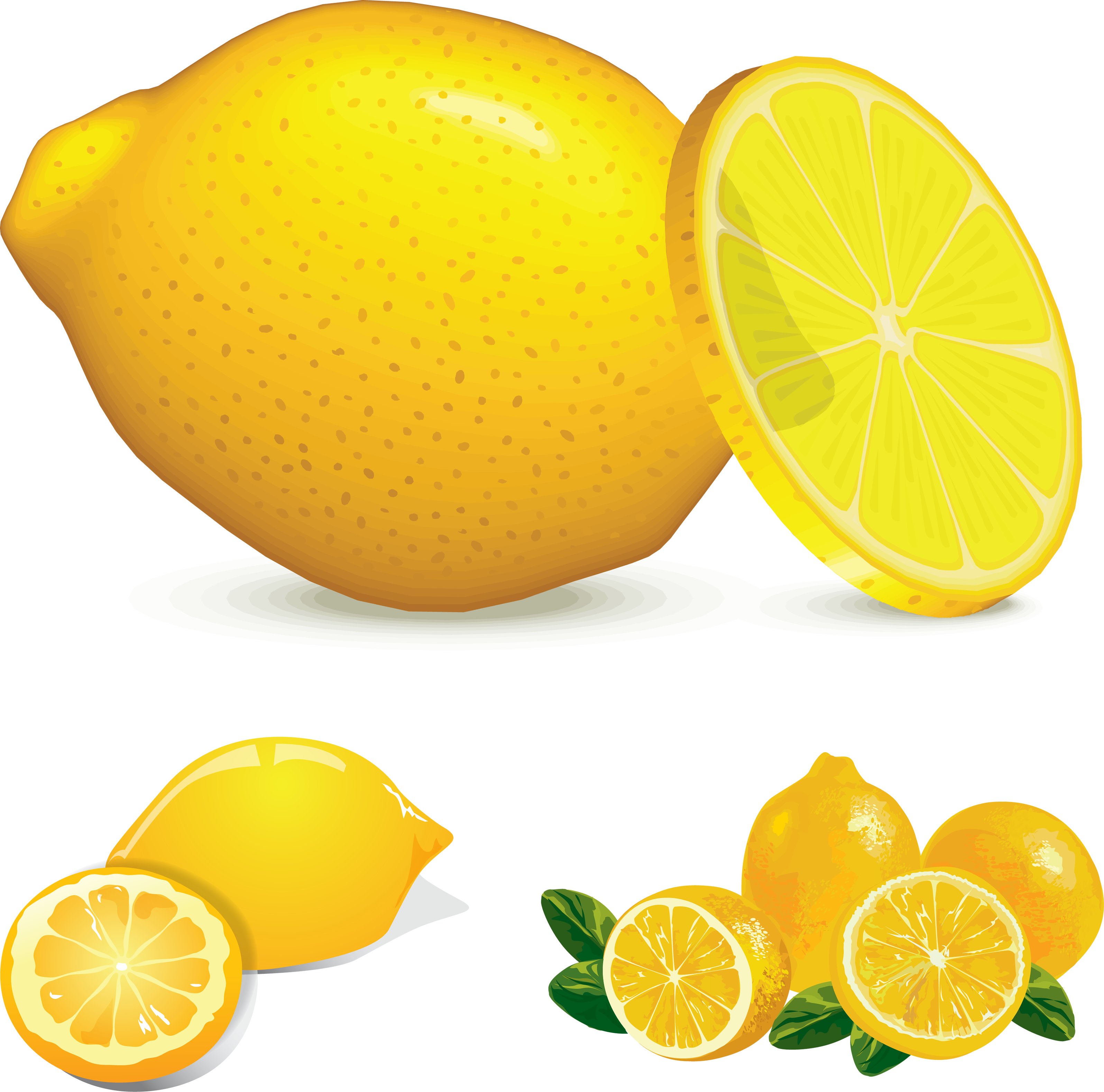 3192x3159 Collection Of Free Lemon Vector High Resolution. Download On Ubisafe