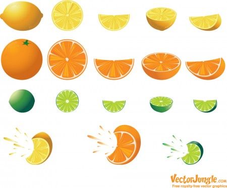 450x373 Free Citrus Vectors Vectorjungle