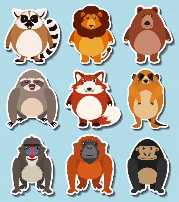 626x706 Lemur Vectors, Photos And Psd Files Free Download