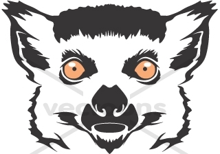 320x224 Lemur Clipart Head