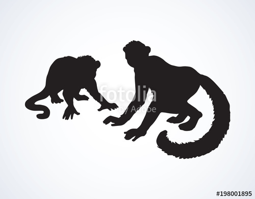 500x392 Lemur. Vector Illustration Stock Image And Royalty Free Vector