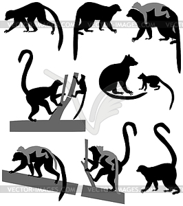 266x300 Silhouette Of Ring Tailed Lemur