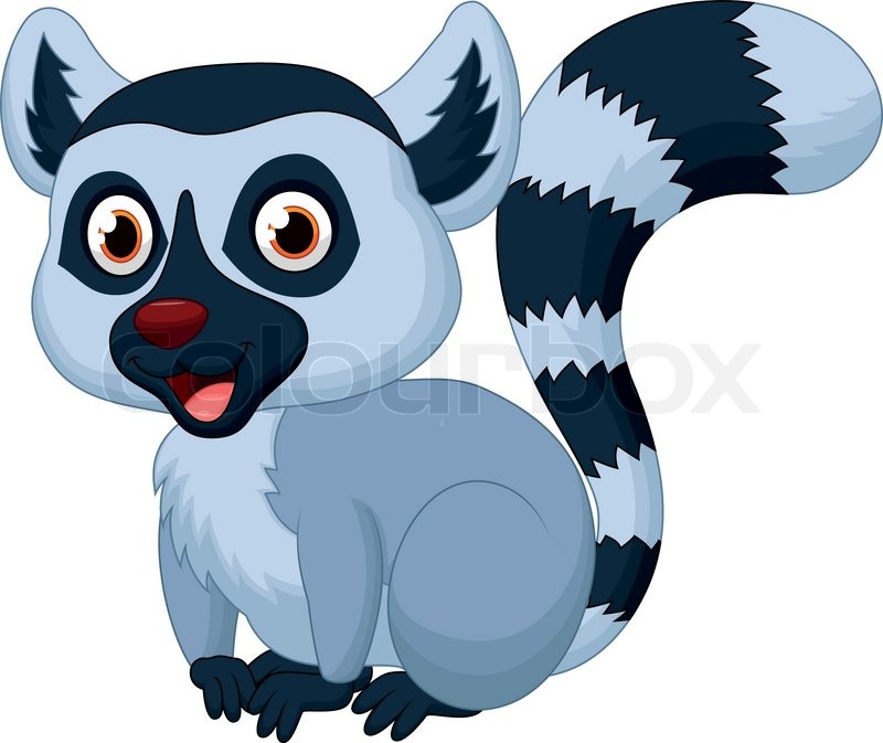 800x673 Vector Illustration Of Cute Lemur Cartoon Stock Vector Colourbox