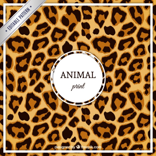 626x626 Leopard Vectors, Photos And Psd Files Free Download