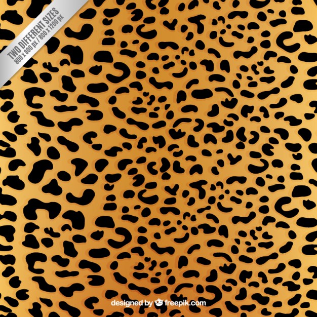 626x626 Leopard Print Background Vector Free Download