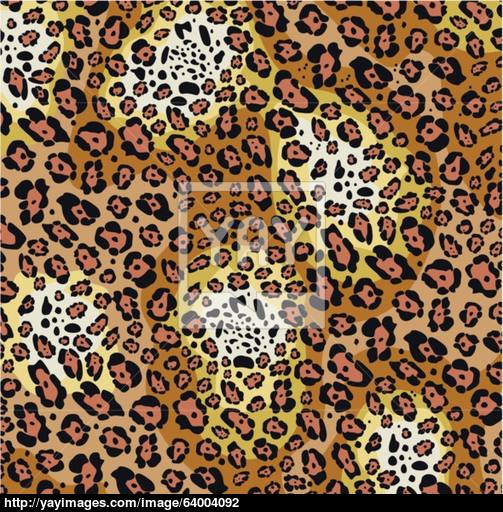 503x512 Vector Animal Skin Pattern Of Leopard Print Vector