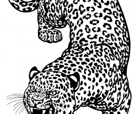 280x235 Leopard Vector