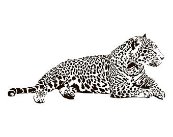 340x270 Leopard Vector Etsy