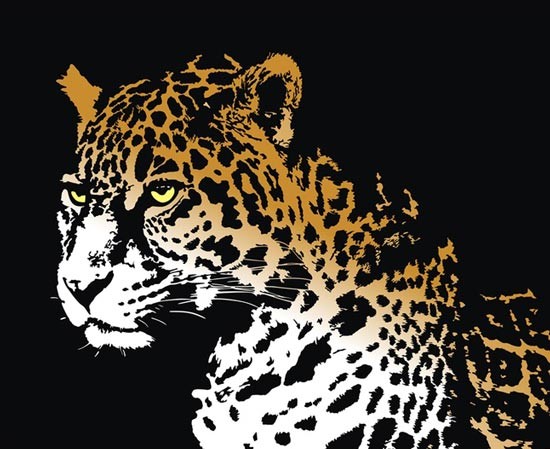 550x449 Realistic Leopard Vector Illustration