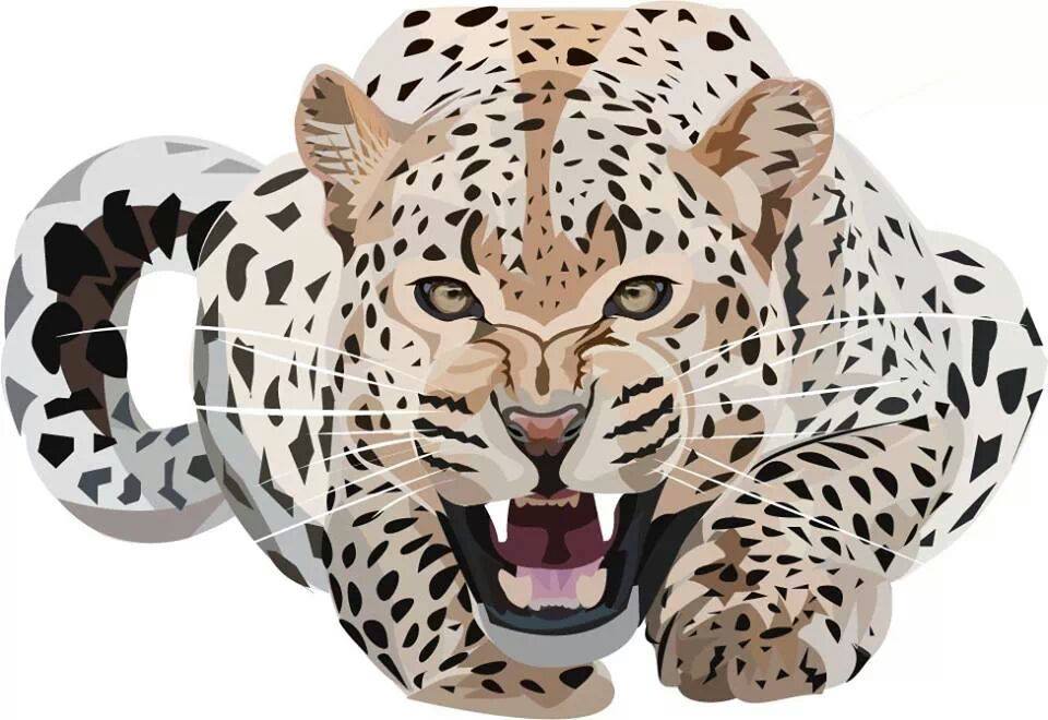 960x660 Snow Leopard Vector