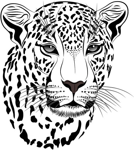 456x512 The Tiger Picture 14 Vector Free Vector In Encapsulated Postscript