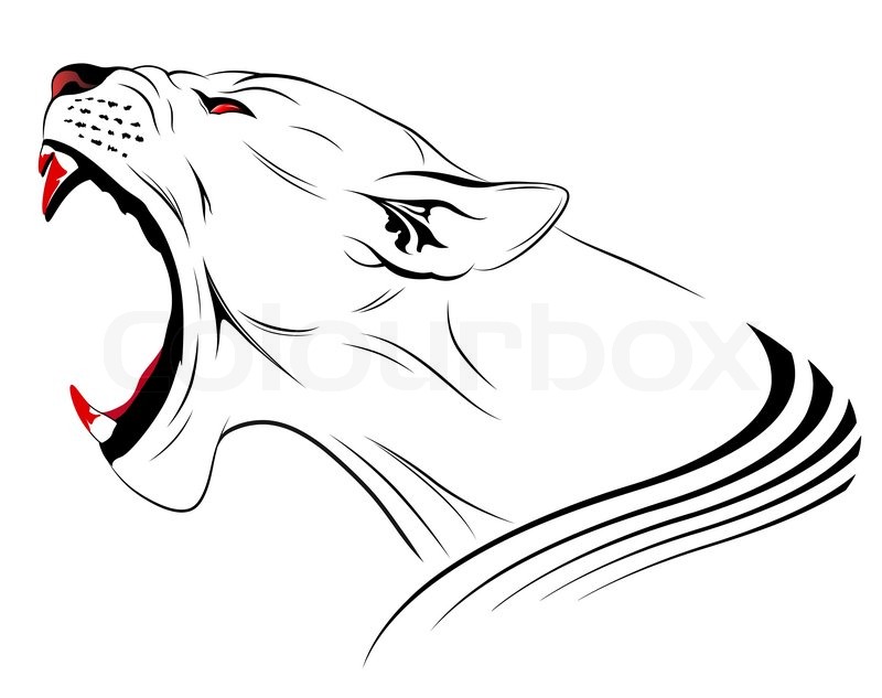 800x633 Vector Leopard, Tribal Tattoo Stock Vector Colourbox