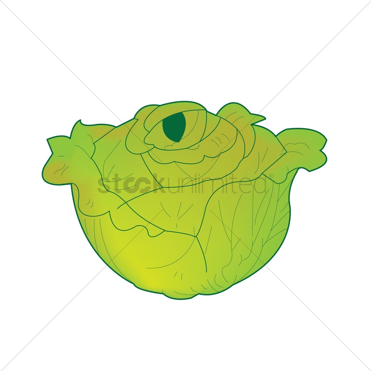 1300x1300 Lettuce Vector Image
