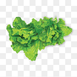 260x261 Lettuce Vector Png Images Vectors And Psd Files Free Download