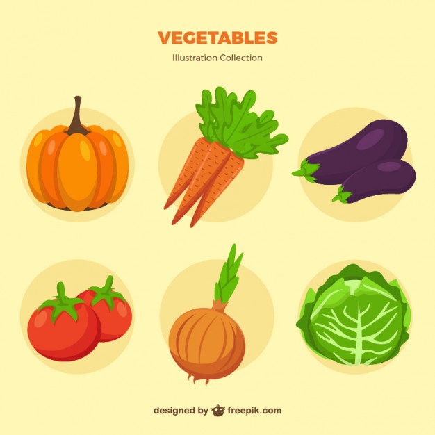 626x626 Lettuce Vectors, Photos And Psd Files Free Download