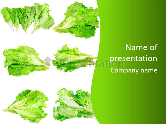 533x399 Lettuce Vector Powerpoint Template Id 0000010961