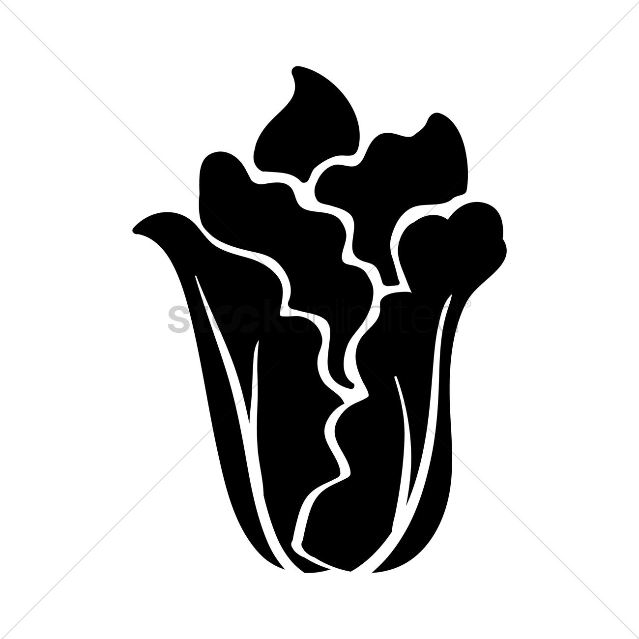 1300x1300 Silhouette Of Lettuce Vector Image