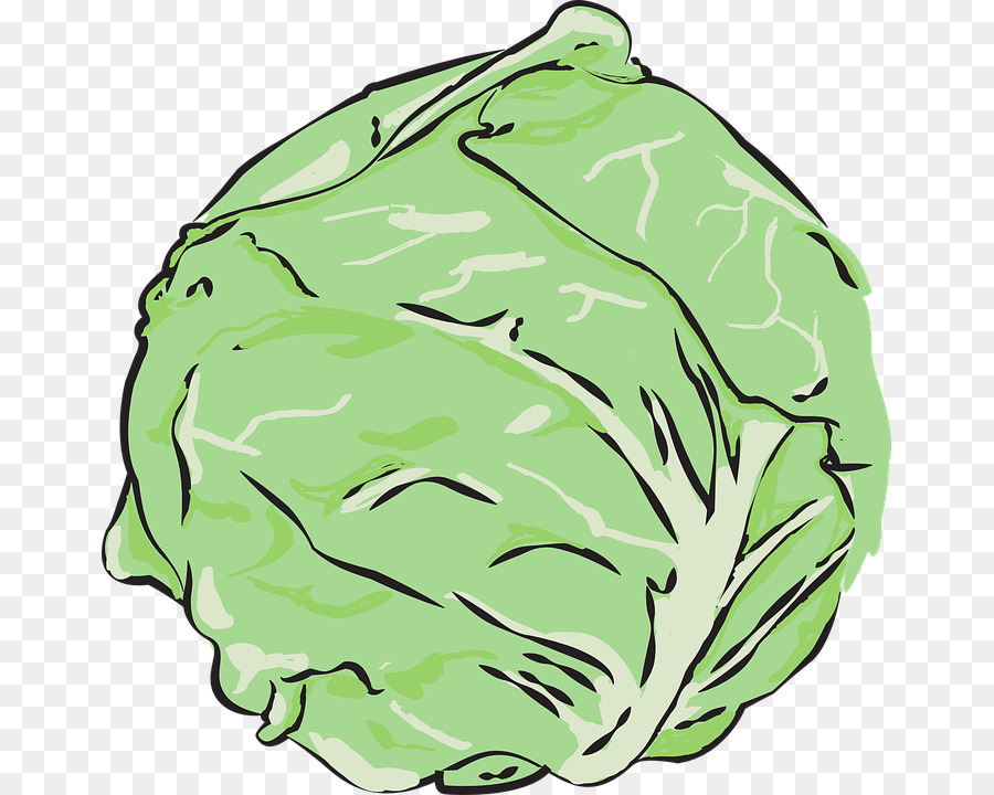 900x720 Cabbage Vegetable Lettuce Sandwich Kale