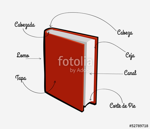 500x428 Partes De Un Libro Stock Image And Royalty Free Vector Files On