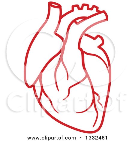 450x470 Clipart Of A Red Human Heart 3