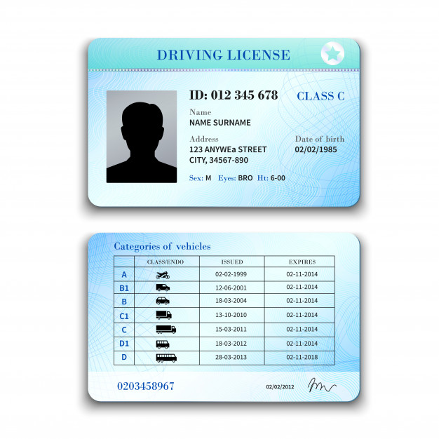 626x626 Driver License Illustration Vector Free Download