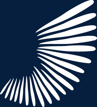 341x377 Light Rays, Light Vector, Rays Vector, White Png And Vector For