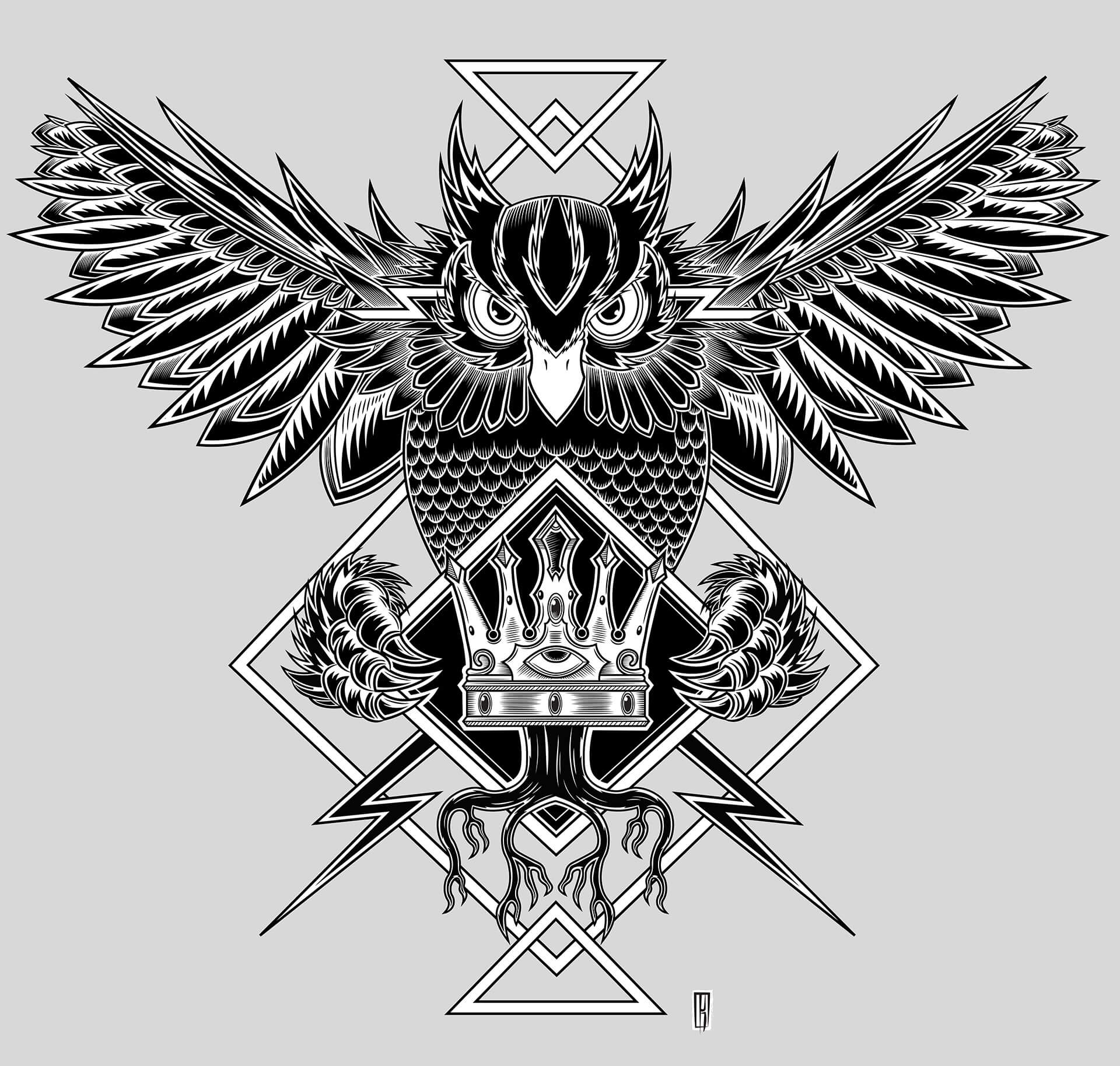 1920x1828 Oliver Kemp Illustration Lightning Owl Vector Artwork