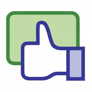 300x300 Facebook Post Photo Icon Vector Camera Geekchicpro