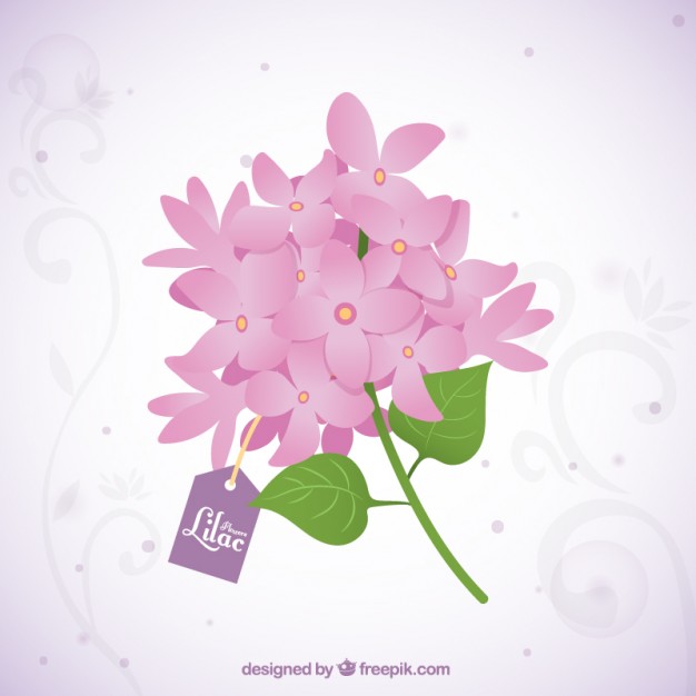 Lilac Vector